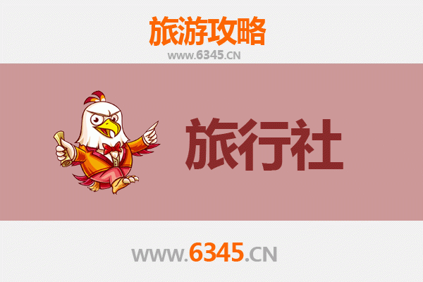 茂南本地旅行社精选推荐与深度游玩攻略